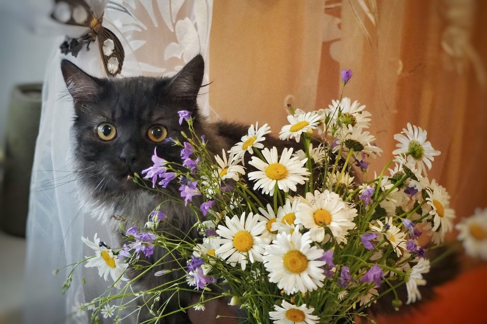 Photograph by Ирина