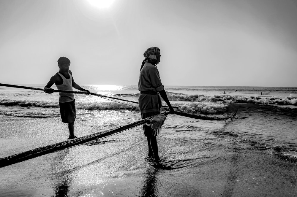 Collecting life