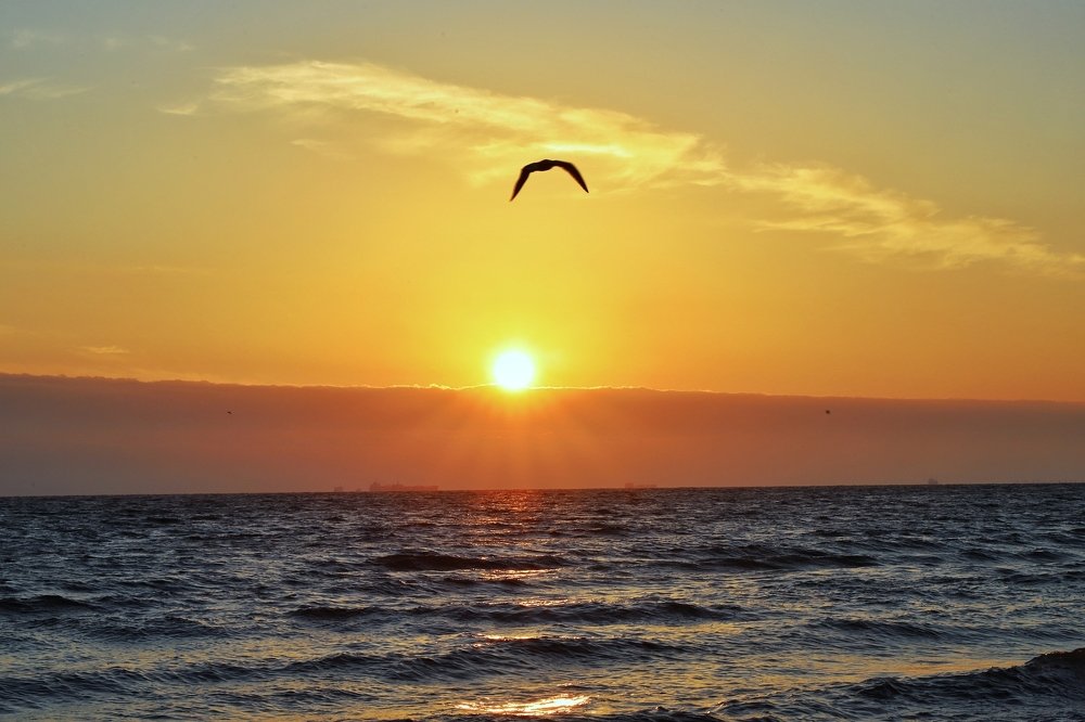 Photograph by Алексей Поляков