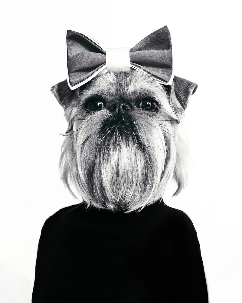 Фотография автора Вера Щербакова