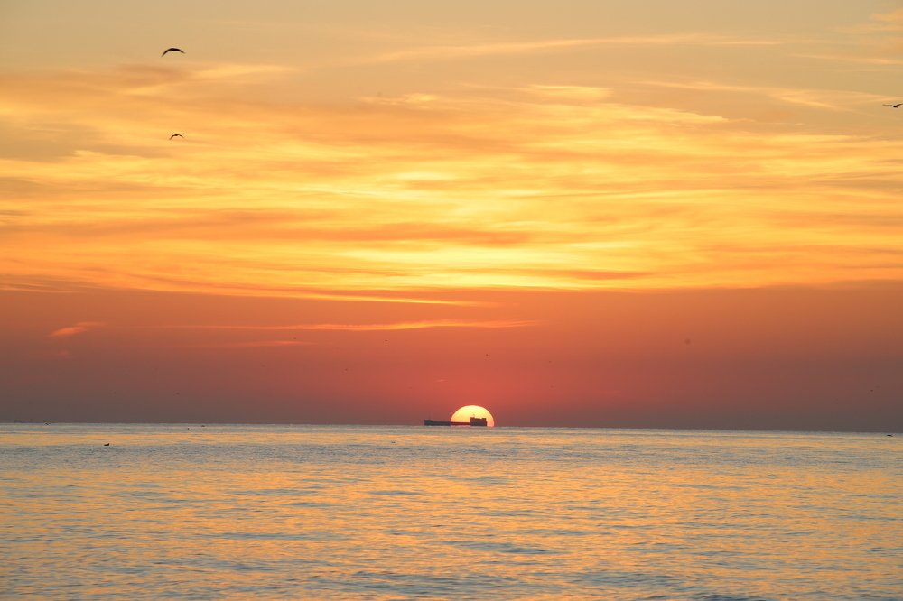 Photograph by Алексей Поляков