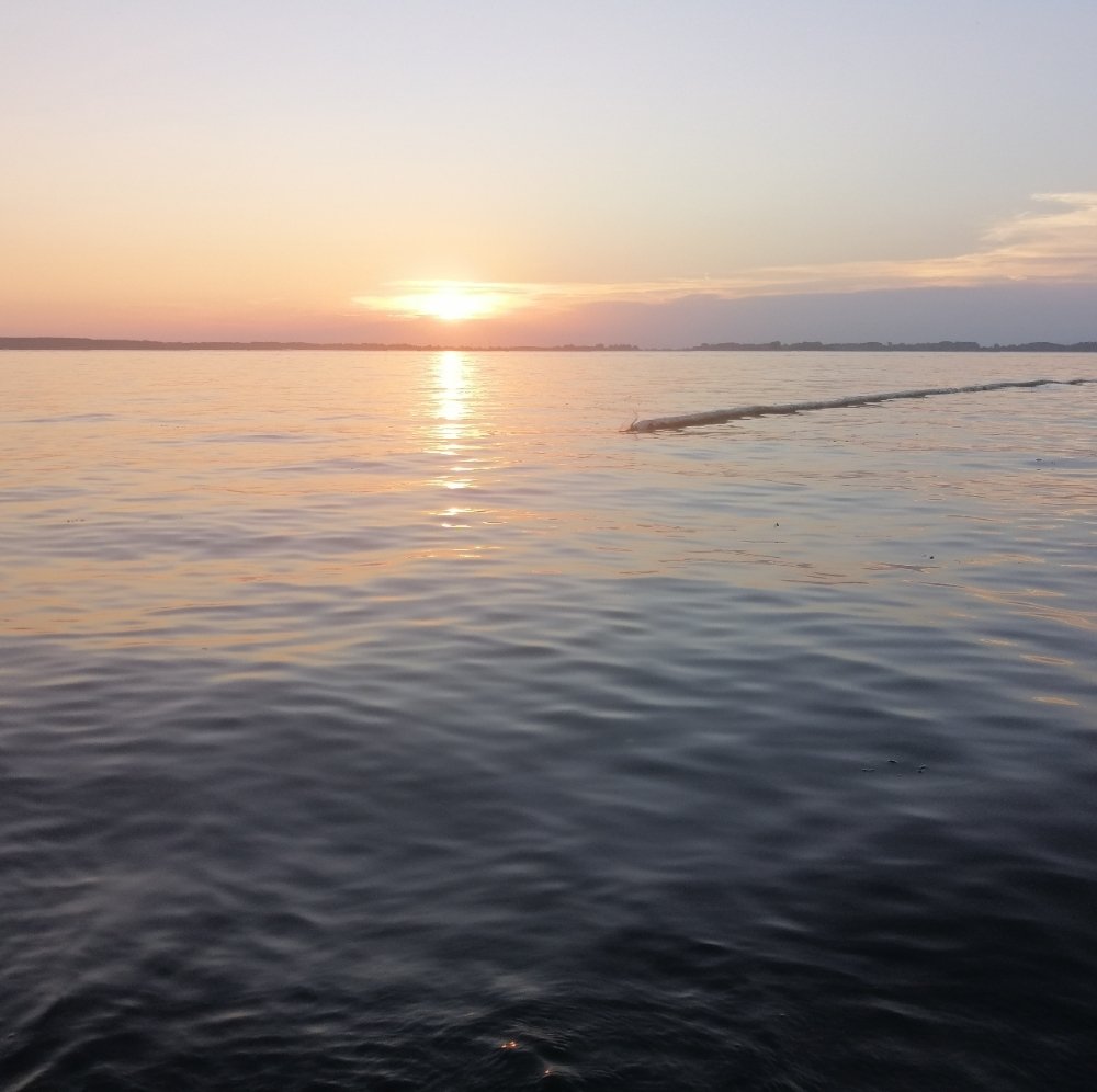 Photograph by Maria Barthane Szurmai