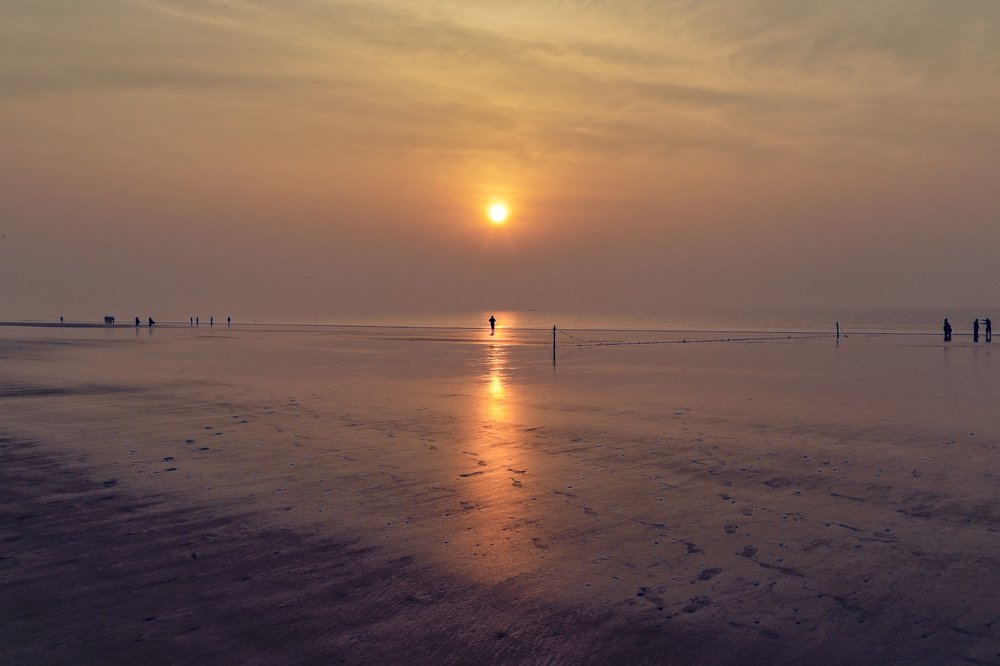 Photograph by Shovan Sam