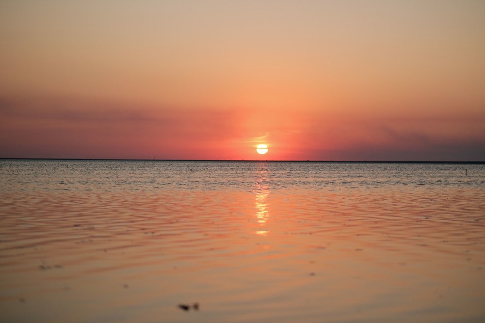 Photograph by Ірина Дрок
