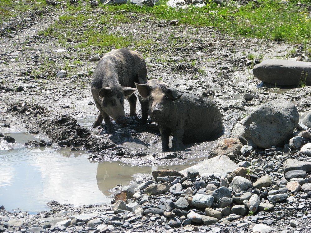 Photograph by Алексей Логинов