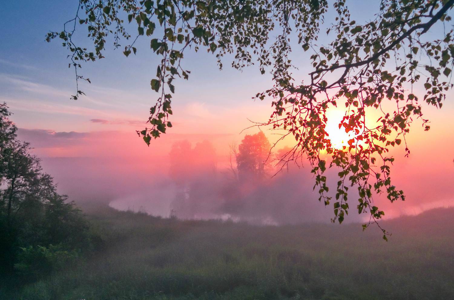 Early in the morning, the fog creeps