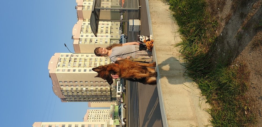 Вечер в Санкт-Петербурге