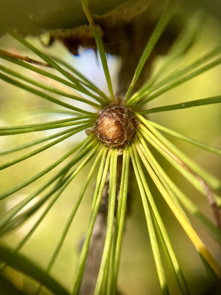 Photograph by Алексей Кабанихин