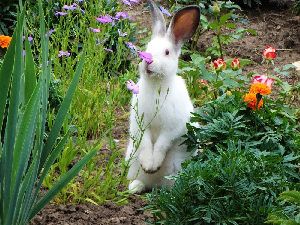 Photograph by Елена Стрельцова