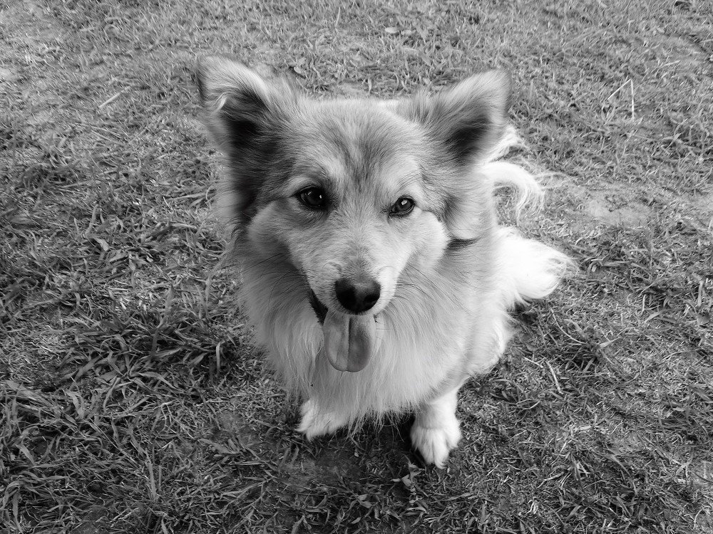 Photograph by Елена Стрельцова