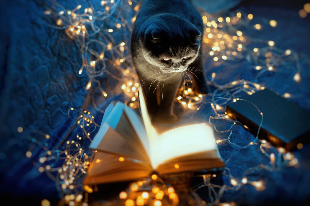 Photograph by Оксана Нечаева