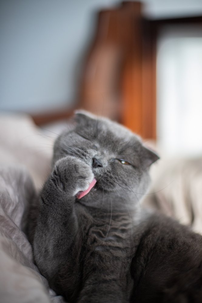 Photograph by Оксана Нечаева