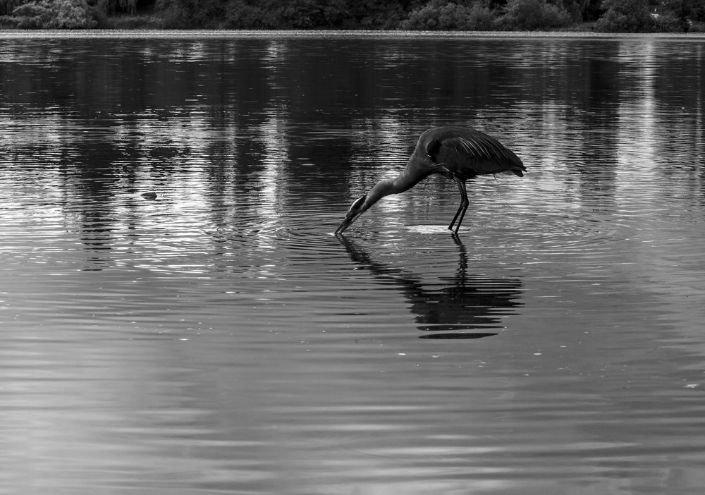 Photograph by Pedro Sanchez