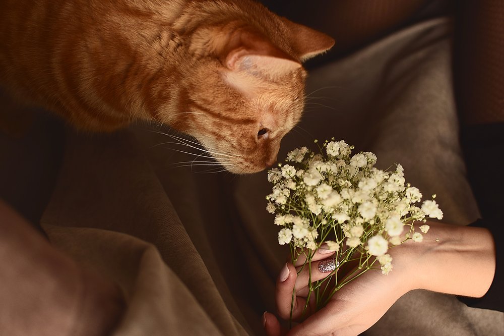 Photograph by Вероника