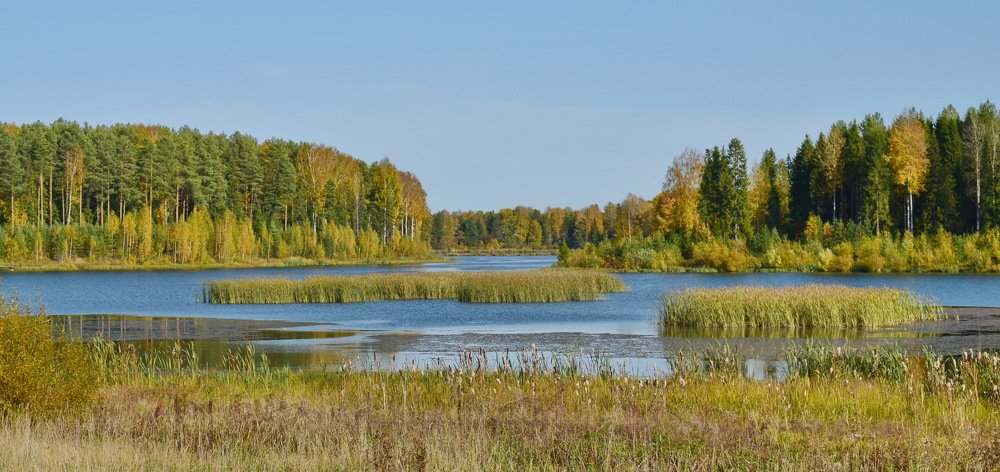 Photograph by Надежда Коновалова