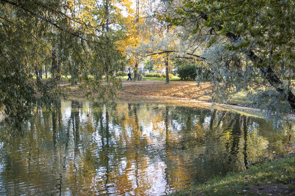 Photograph by Наталья Юденкова