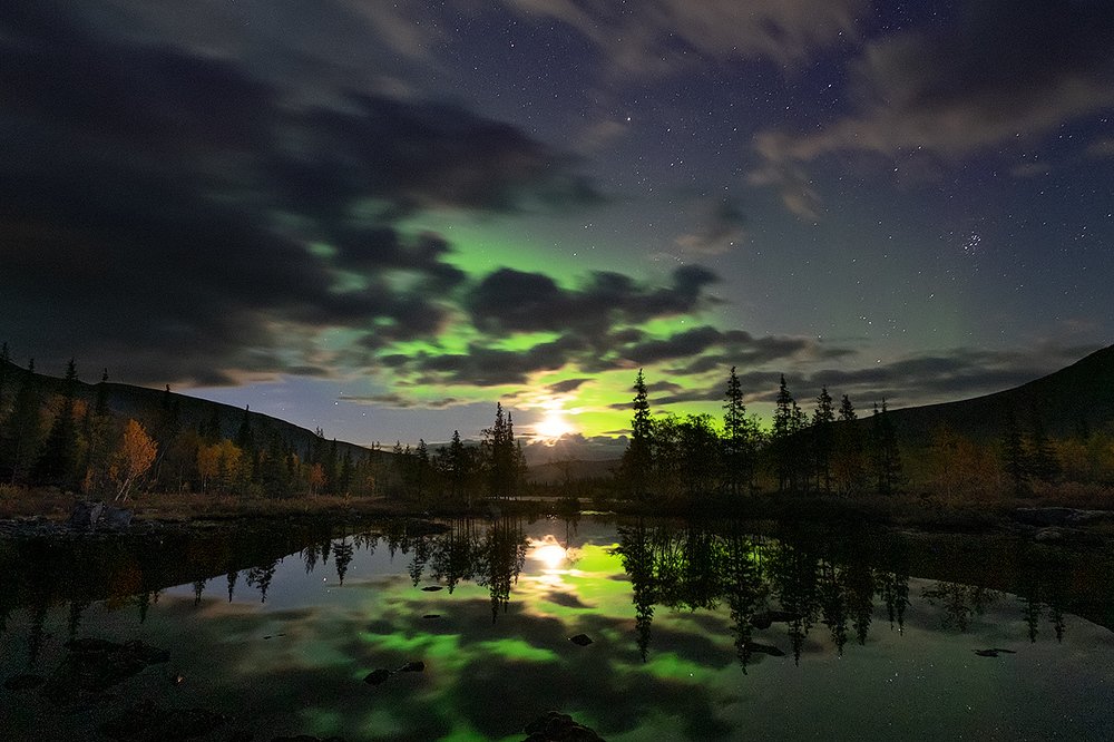 Ночная охота