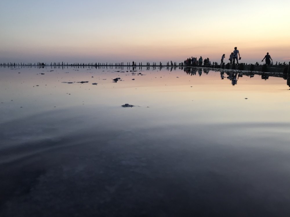 Photograph by Анастасия Клевец