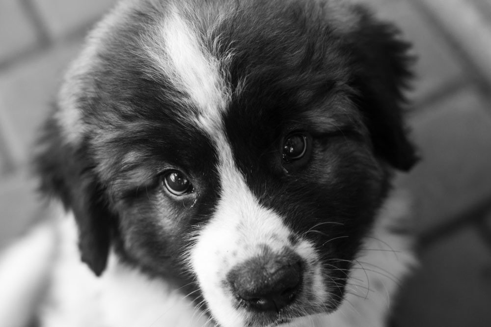 Photograph by Анастасия Клевец