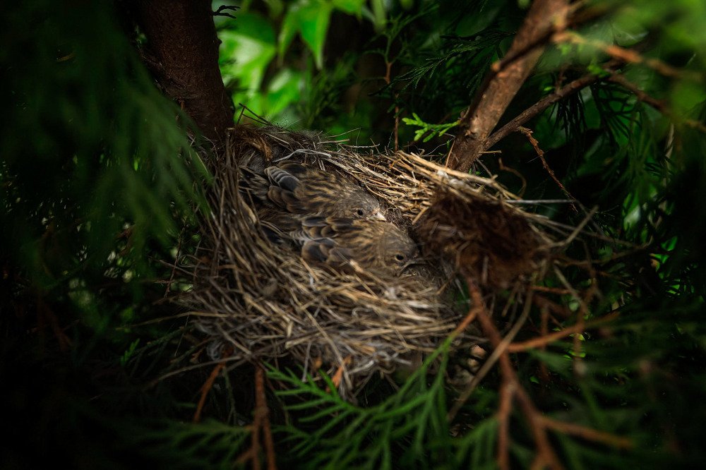 Photograph by Владимир Кульбит