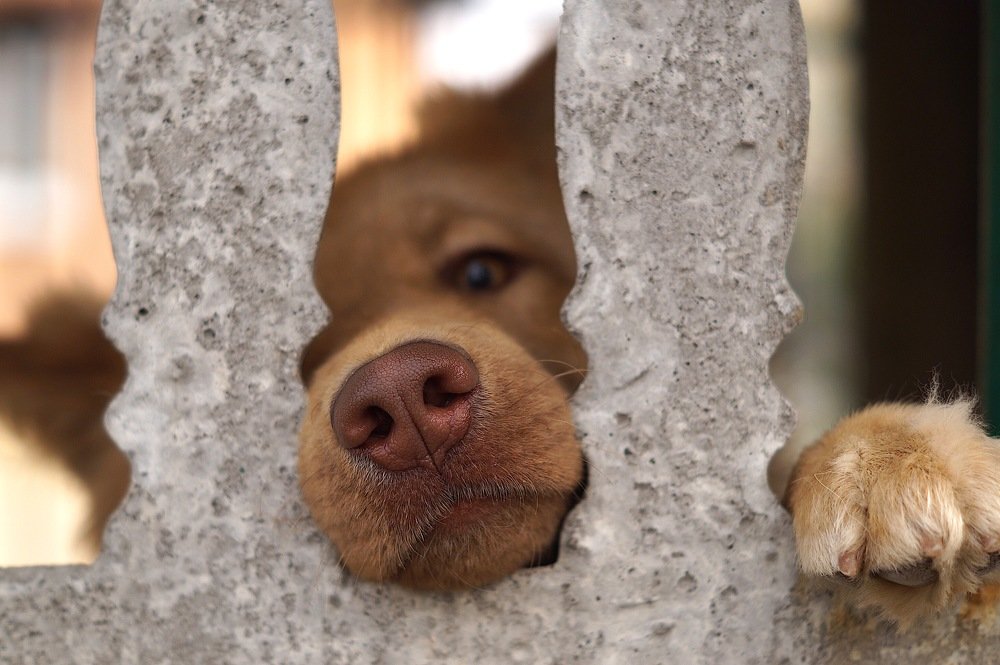 Photograph by Анастасия Клевец