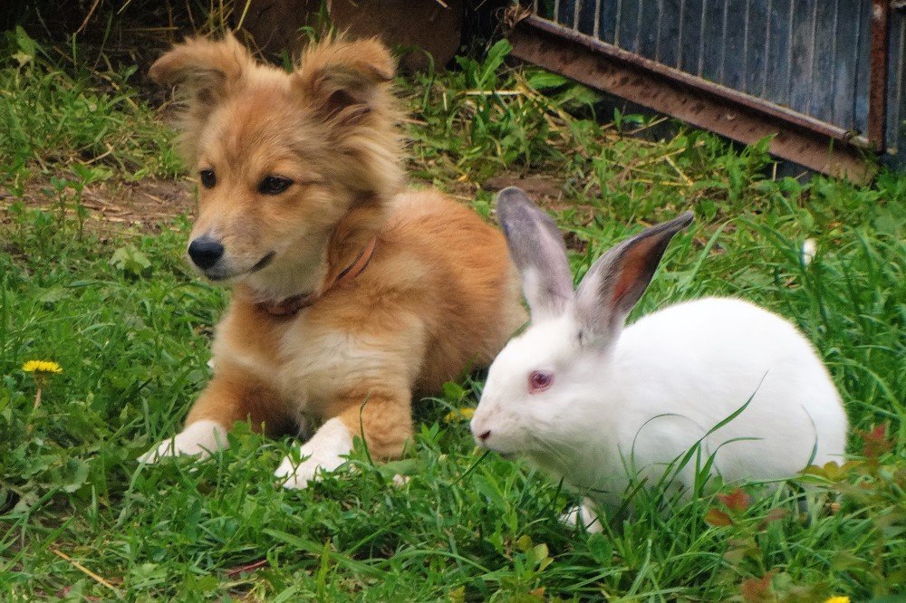 Photograph by Елена Стрельцова