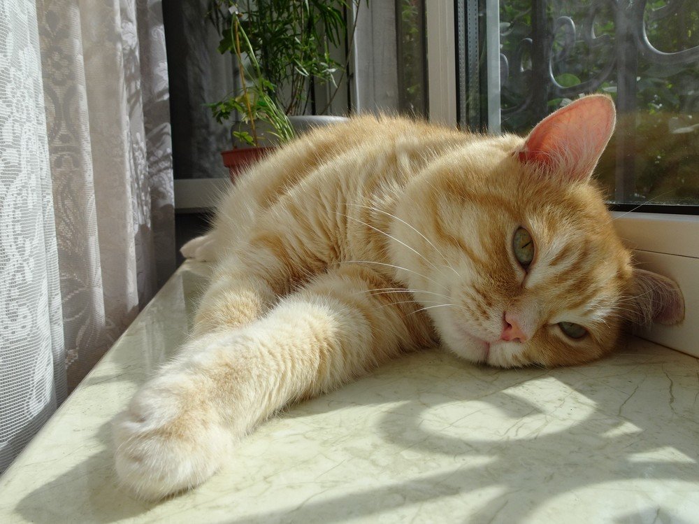 Photograph by Людмила