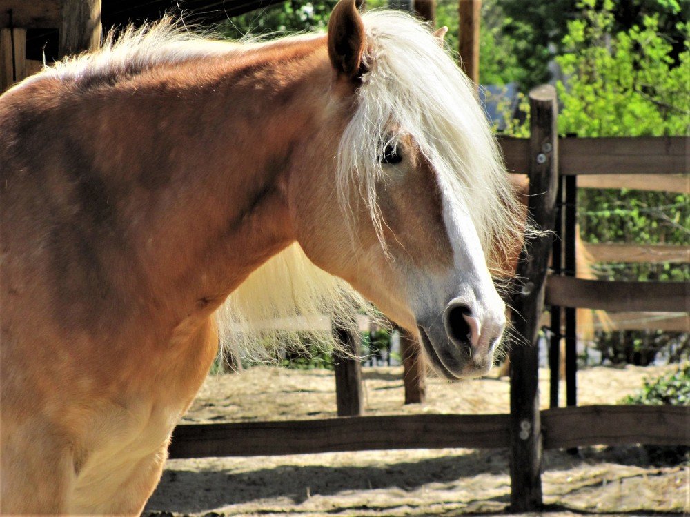 Photograph by Людмила