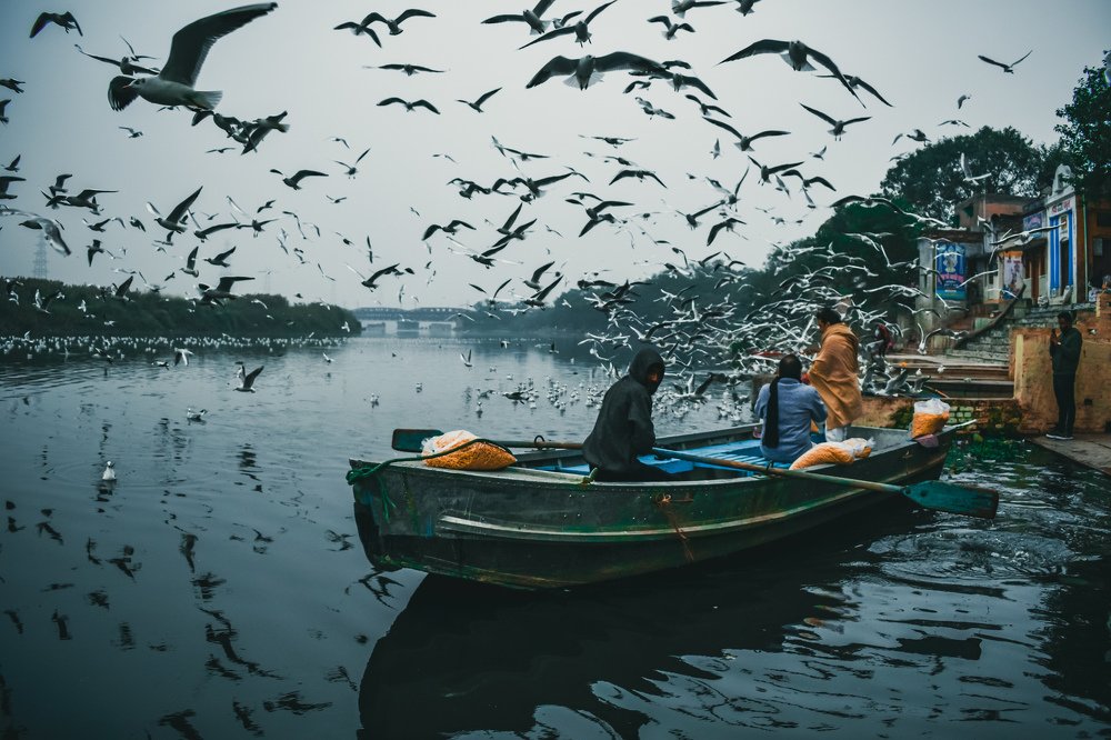 Photograph by Sudhanshu Banotiya