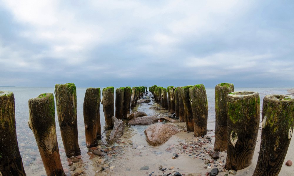 Photograph by Павел Юнусов