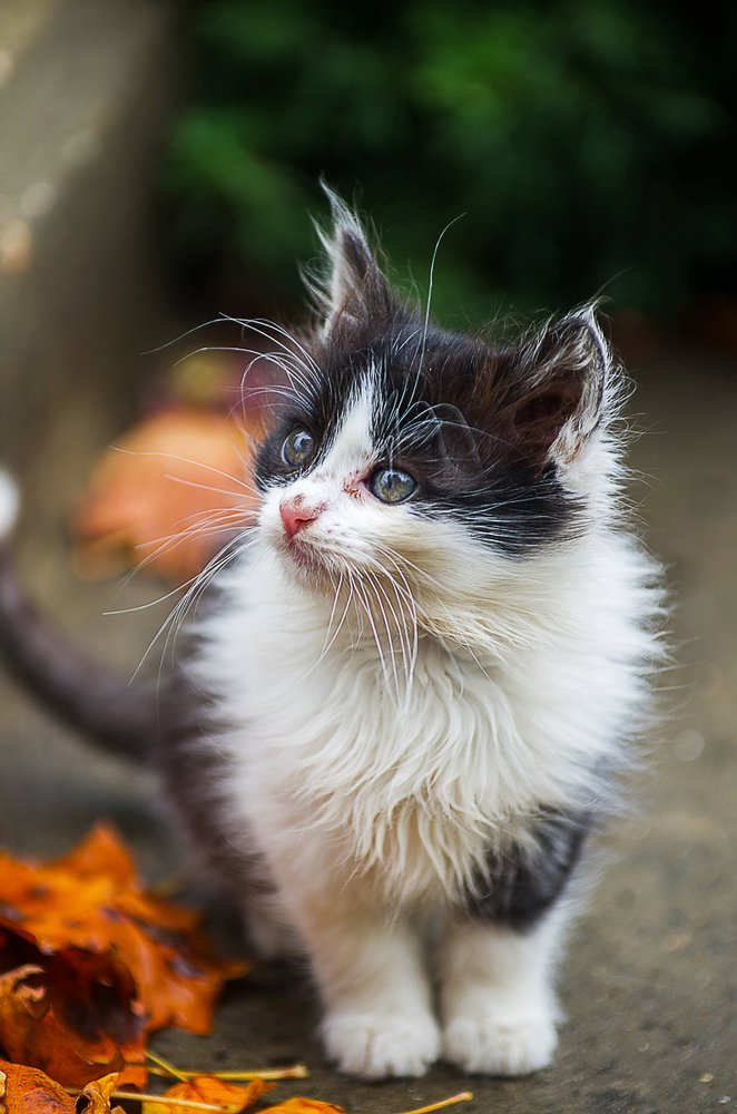 Photograph by Роман Приходько