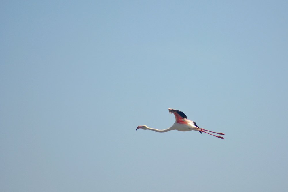 Photograph by Анатолий Орлов