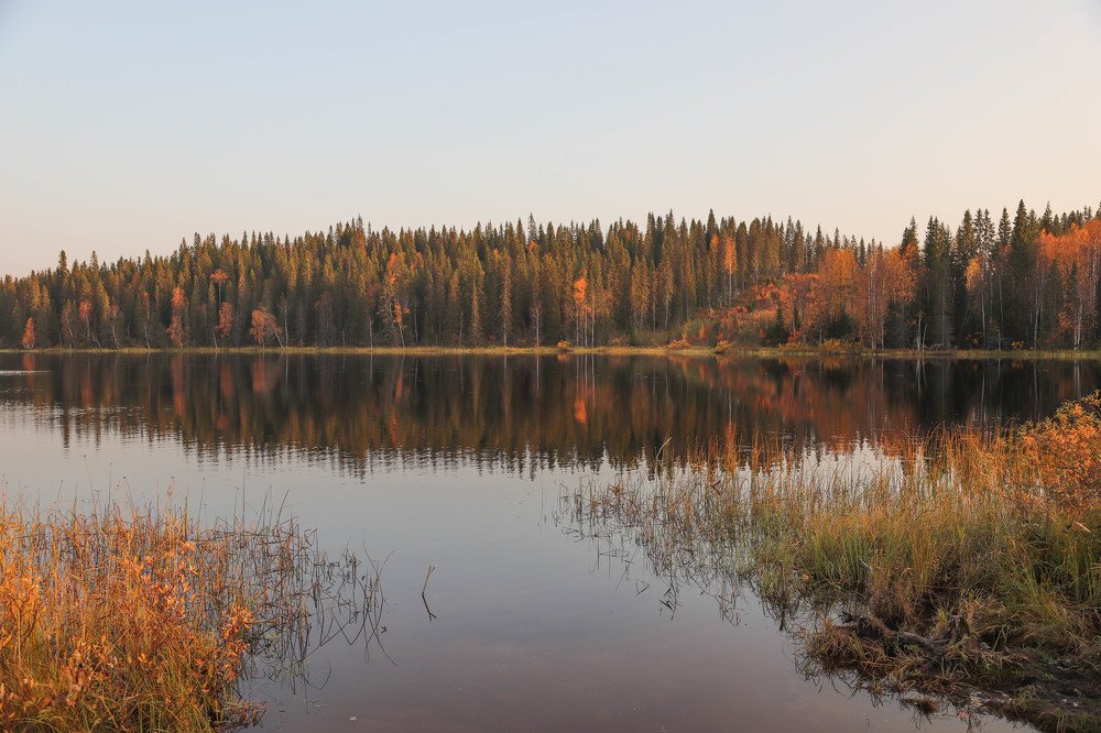 Photograph by Александр Трифанов