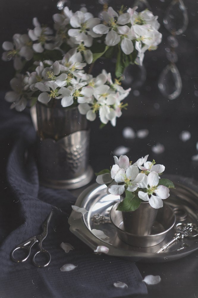 Photograph by Алла Семенова