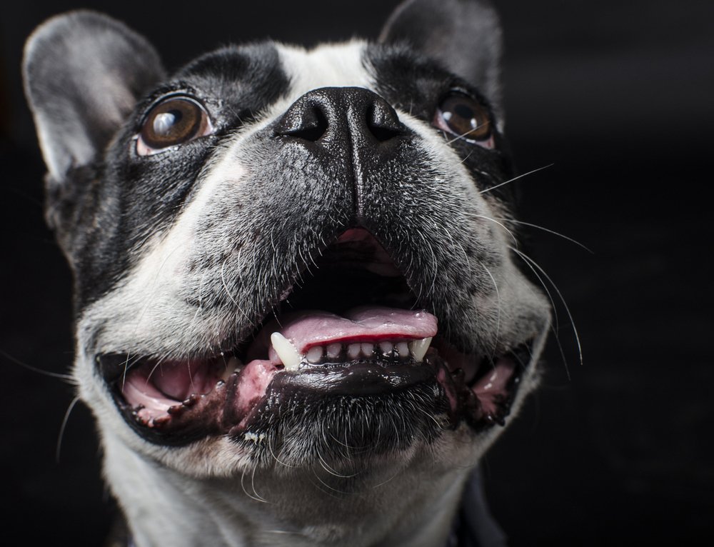 Photograph by Pedro Sanchez