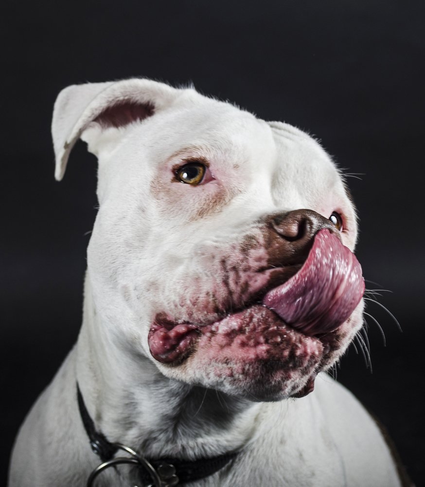 Photograph by Pedro Sanchez