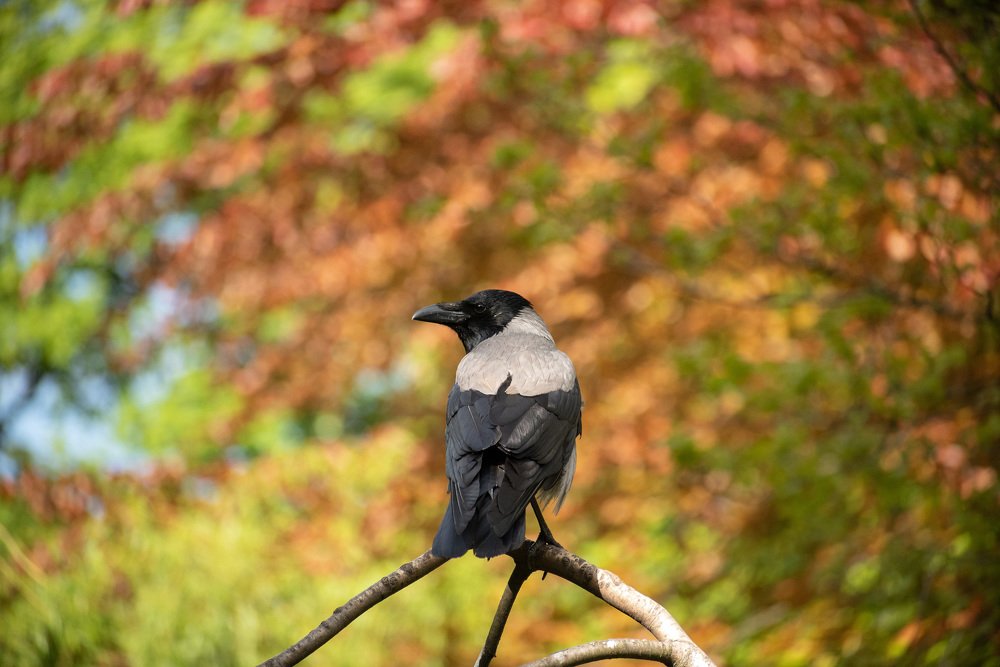 Photograph by Павел Юнусов