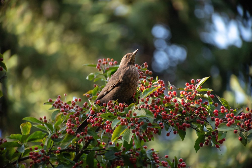 Photograph by Павел Юнусов