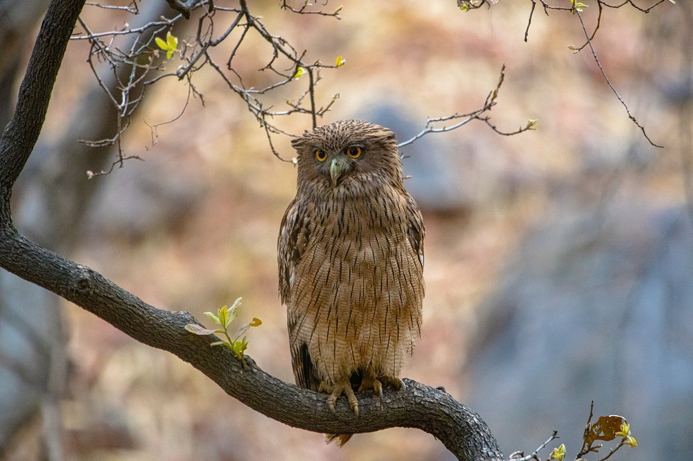 Photograph by Александр Маркелов