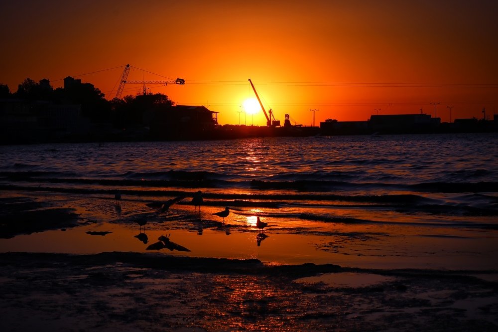 Фотография автора Анастасия Пищулова