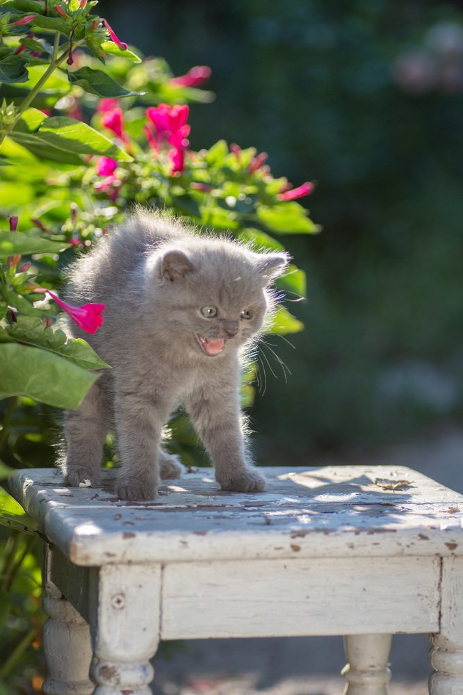 Photograph by Марина Згоник