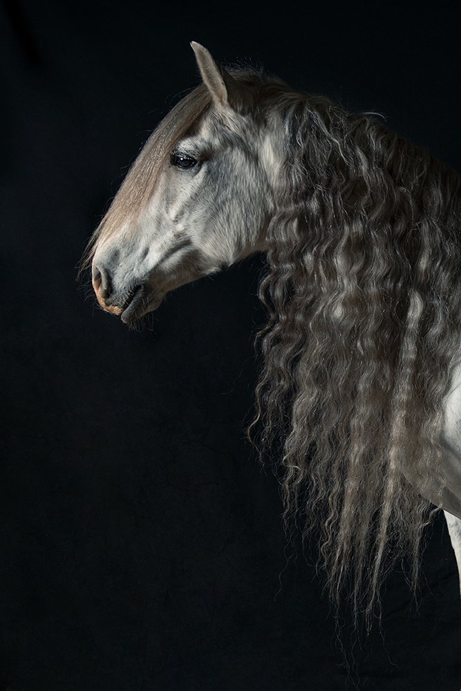 Photograph by Marjan van Herpen