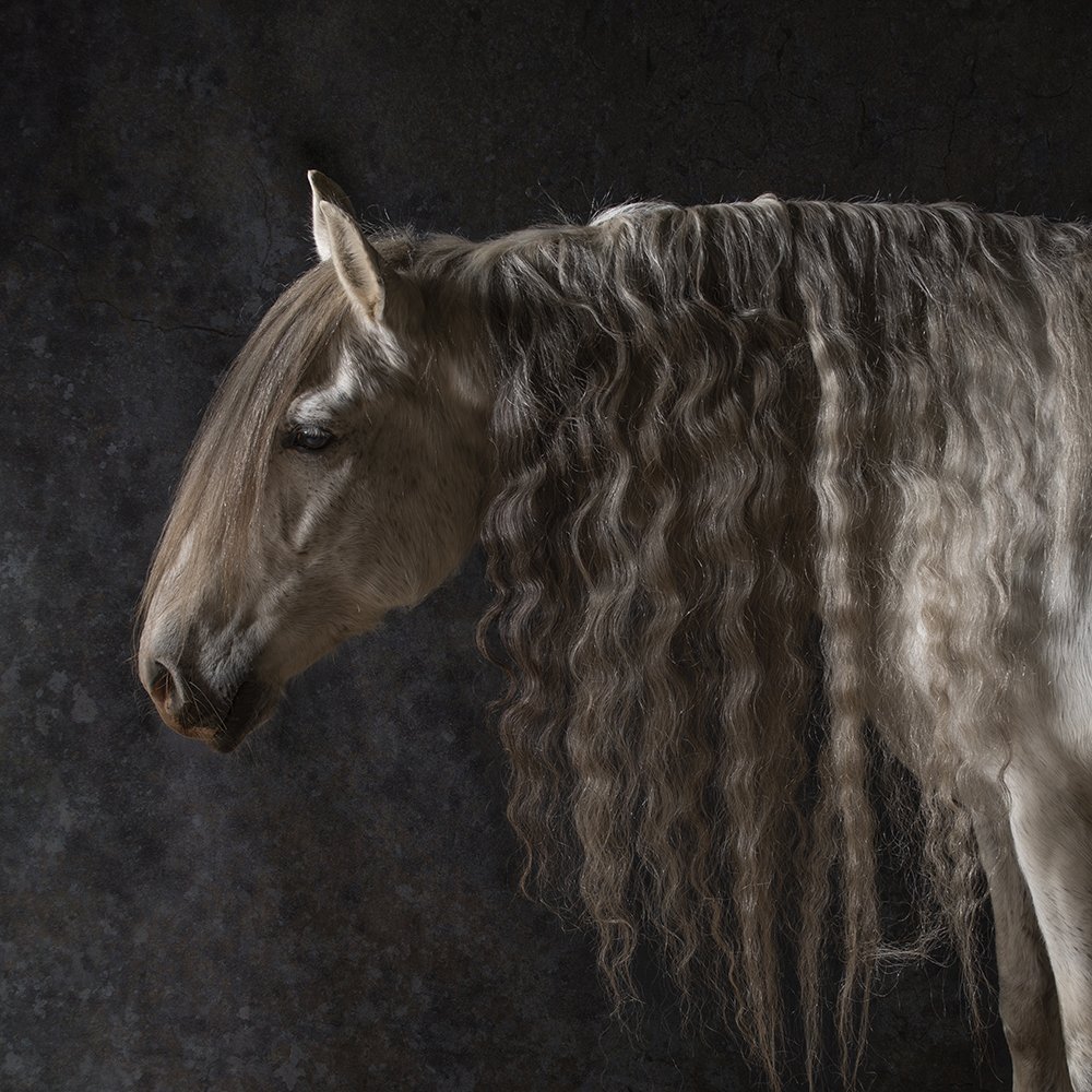 Photograph by Marjan van Herpen