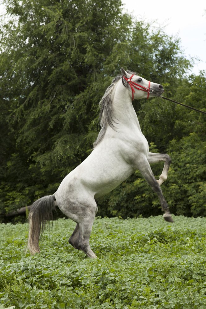 Photograph by Наталья Старостенко