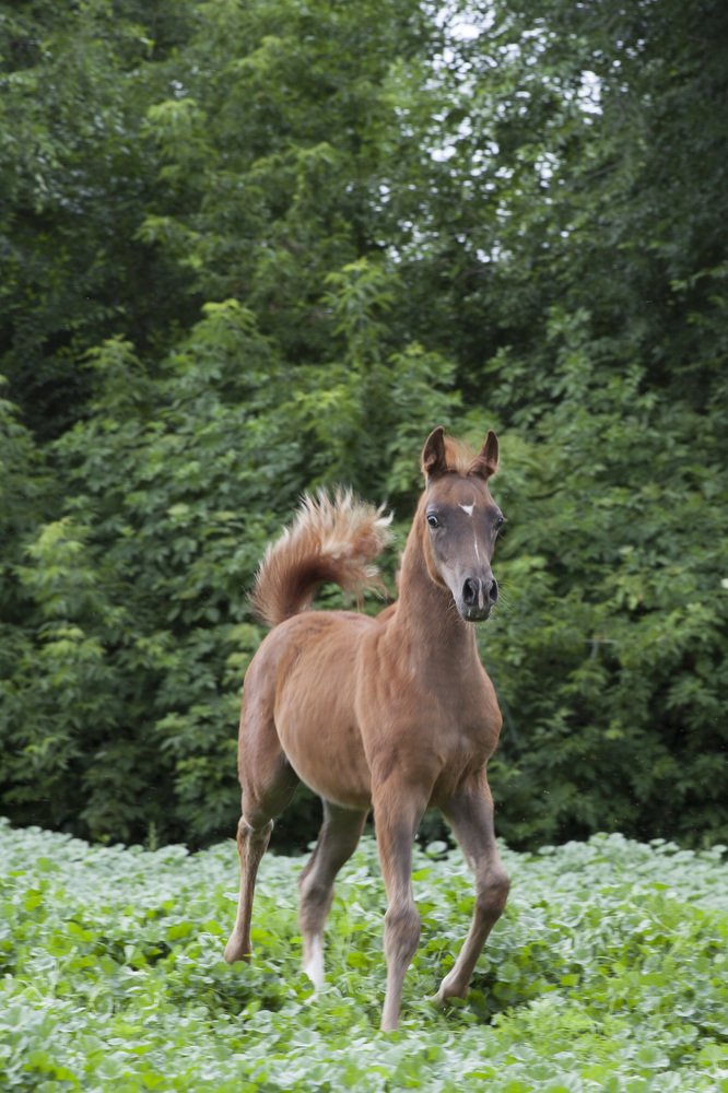 Photograph by Наталья Старостенко