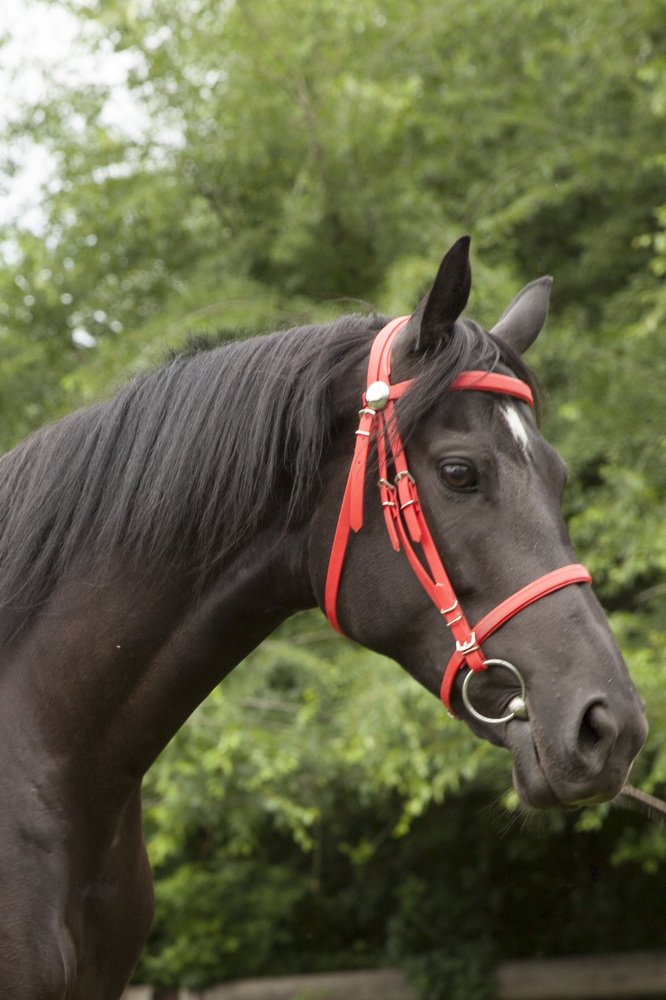 Photograph by Наталья Старостенко