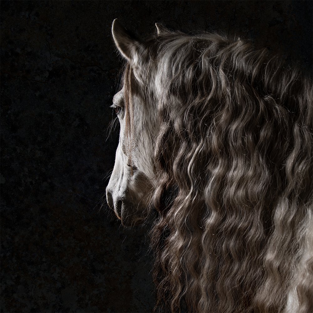 Photograph by Marjan van Herpen