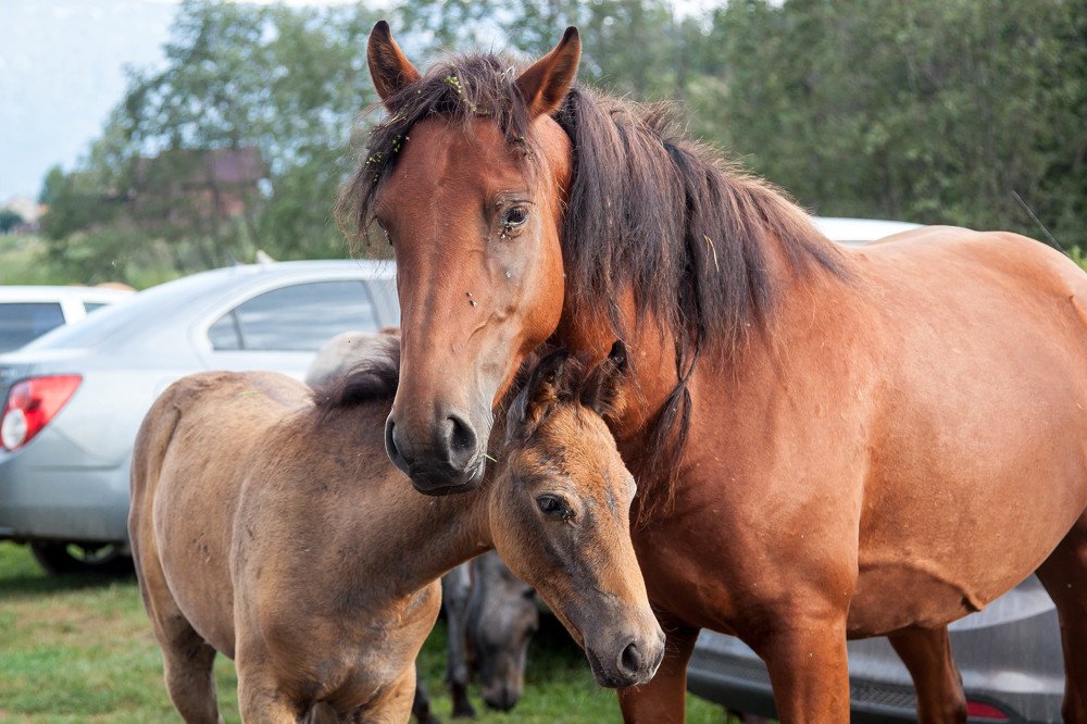 Photograph by Эльвира Сагдиева
