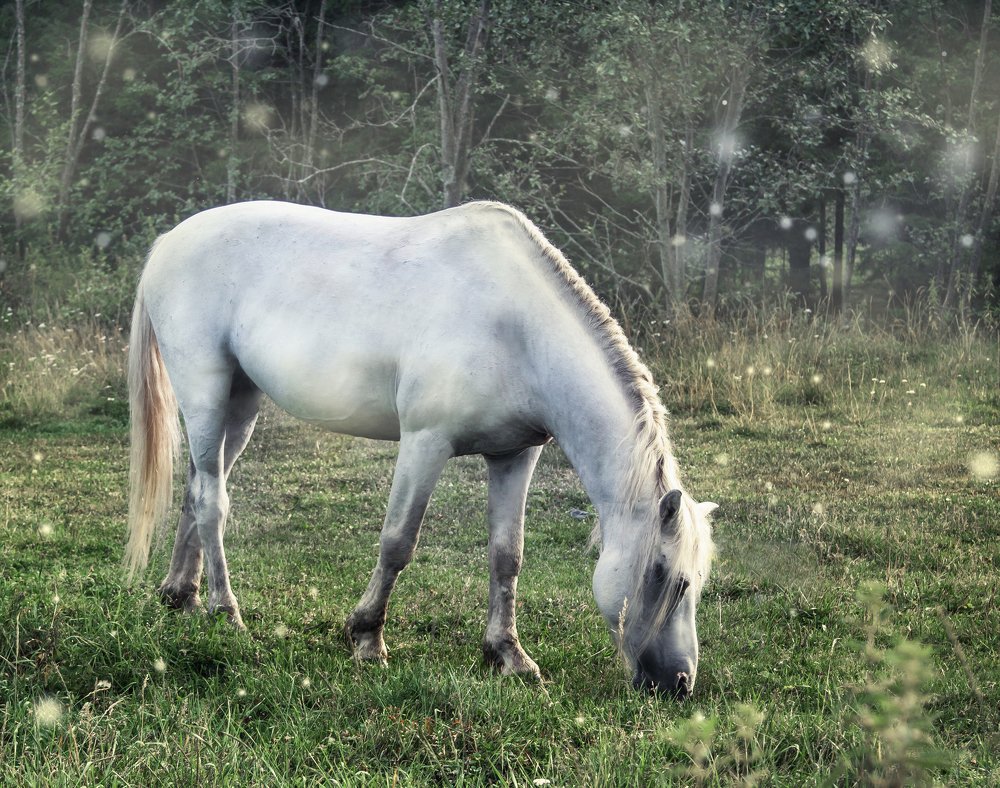 На рассвете