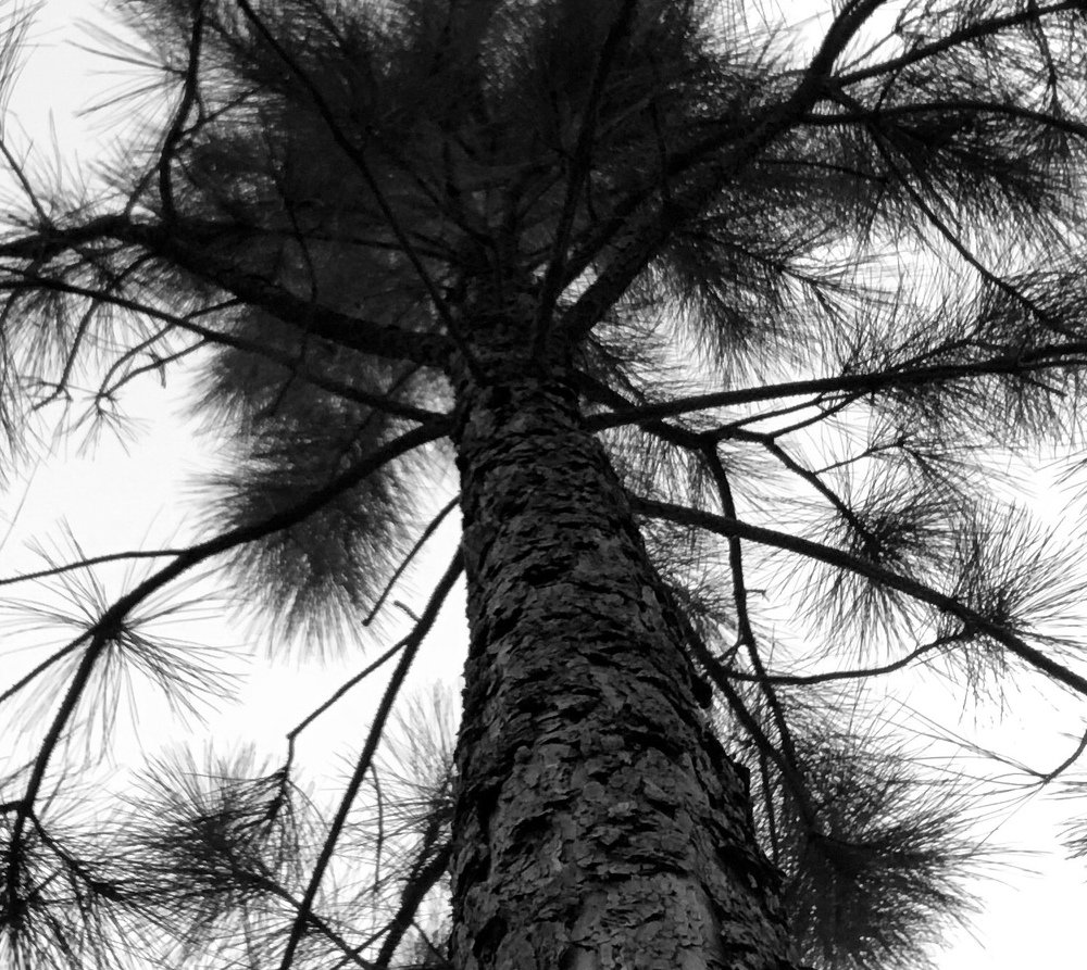 Photograph by Mariette Juntunen